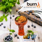Табак Burn Blueberry Mint (Черника с Мятой) 100г Акцизный
